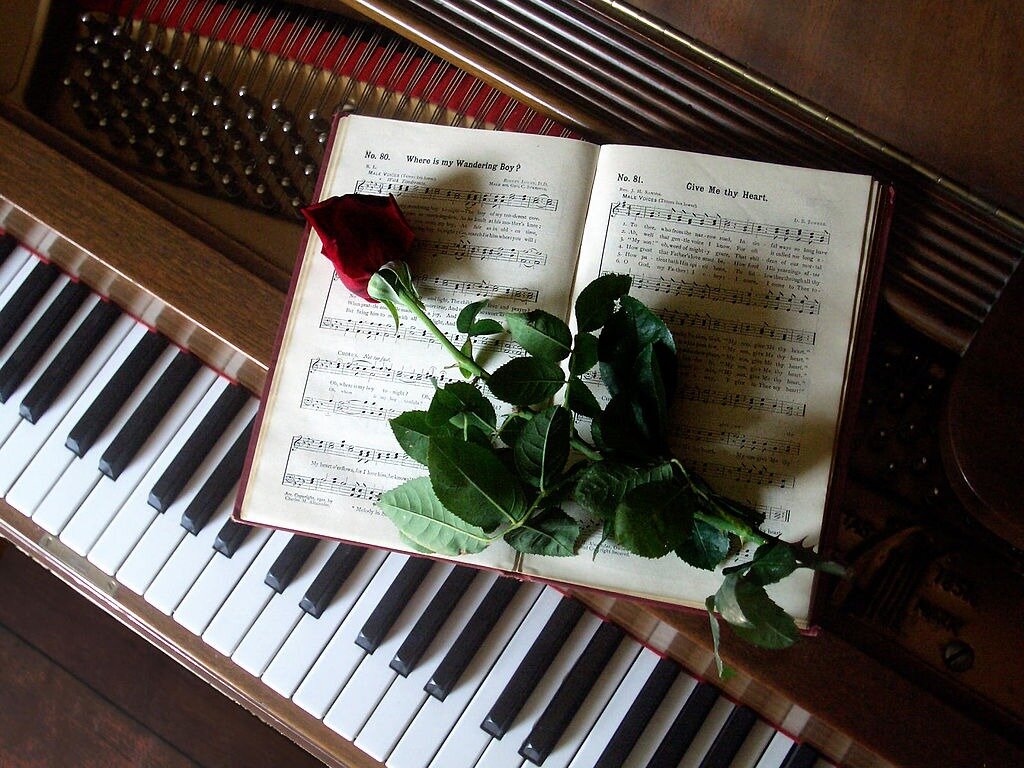 L’art d’être un musicien avec ses vices et ses vertus